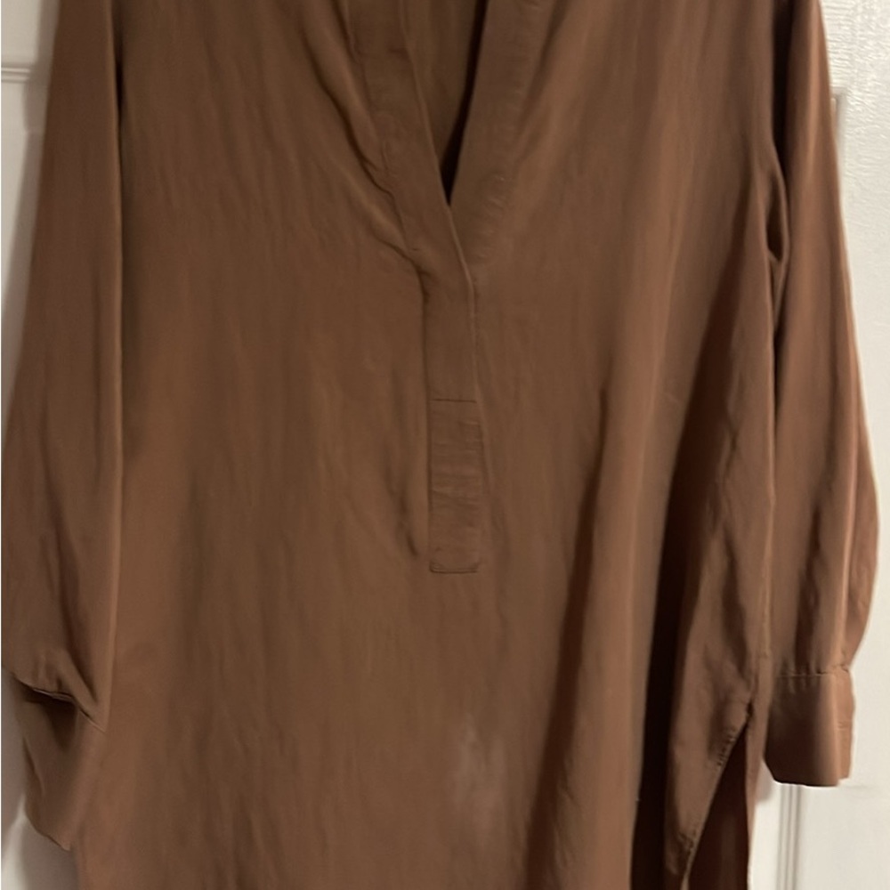 Zara Tan Long Sleeve Top